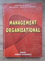 Gheorghe Gh. Ionescu, Emil Cazacu, Adina Letitia Negrusa - Management organizational