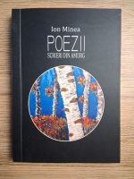 Ion Minea - Poezii. Scrieri din amurg