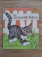 Linda Hayward - The curious little kitten