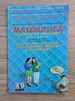 Maria Elena Panaitopol - Matematica. Culgere de probleme, clasa a XI-a. Subiecte date la admitere in invatamantul superior si bacalaureat