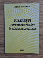 Mariana Anghelescu - Filipesti. Un petec de pamant in Baraganul brailean