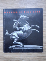 Museum of fine arts. Guide to the collections