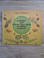 Silvia Chitimia - Albinita sau fetita care zbura deasupra orasului