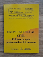 Viorel Mihai Ciobanu - Drept procesual civil. Culegere cde spete pentru seminarii si examene