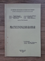 Virginia Barghiel - Practice in english grammar