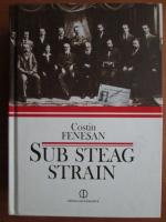 Costin Fenesan - Sub steag strain. Comunistii si partidul comunist din Romania in arhiva Kominternului