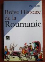 Ion Bulei - Breve histoire de la Roumanie
