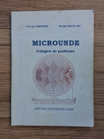 George Lojewski - Microunde. Culegere de probleme