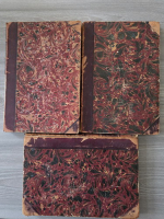 Handbuch der Architektur (3 volume, coperti uzate)