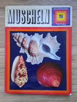 Muscheln. Gluck aus den sieben Meeren (album)