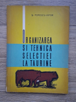 Stefan Popescu Vifor - Organizarea si tehnica selectiei la taurine