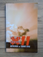 Tudor Cicu - Poeti x 11 poeme