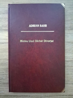 Anticariat: Adrian Sahr - Mintea unui barbat divortat
