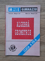 Anton Negrila - Algebra, geometrie, clasa a VII-a (1997)