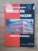 Culita Ioan Usurelu - Colosul din Focsani. Marirea si decaderea