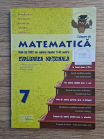Daiana Azamfirei - Matematica. Teste tip CNEE din materia claselor V-VII pentru evaluarea nationala
