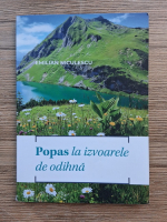 Emilian Niculescu - Popas la izvoarele de odihna