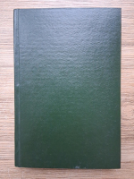 Georgeta Nichifor - Dictionar roman-englez