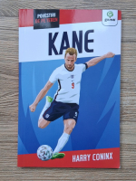 Harry Coninx - Povestiri de pe teren. Kane