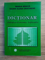 Maria Badita - Dictionar statistico-economic-explicativ
