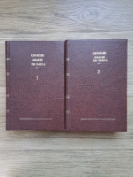 Nemaipomenitele peripetii ale neinfricatului cavaler Amadis de Gaula (2 volume)