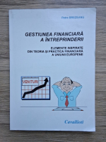 Petre Brezeanu - Gestiunea financiara a intreprinderii. Elemente inspirate din teoria si practica financiara a Uniunii Europene