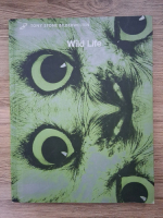 Tony Stone - Wild life