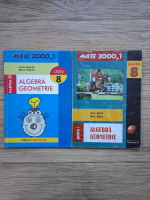 Anton Negrila, Maria Negrila - Algebra, geometrie, clasa a VIII-a (2 volume)