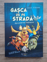 Cally Stronk - Gasca de pe strada. Mai puternici impreuna