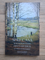 Drumul spre casa si alte povestiri din clasicii rusi 