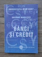 Gheorghe Manolescu - Banci si credit