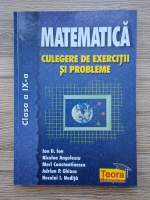 Ion D. Ion - Matematica. Culegere de exercitii si probleme, clasa a IX-a 