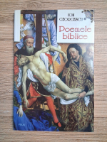 Ion Georgescu - Poemele biblice