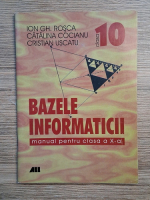 Ion Gh. Rosca, Catalina Cocianu - Bazele informaticii. Manual pentru clasa a X-a