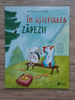 Anticariat: Jan Kaiser - In asteptarea zapezii. O raceala cu bucluc