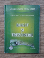 Luise Mladen - Buget si trezorerie