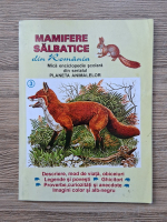 Mamifere salbatice din Romania. Mica enciclopedie scolara din serialul Planeta animalelor