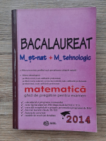 Mihai Baluna, Lucian Petrescu - Matematica. Ghid de pregatire pentru examen. Bacalaureat 2014