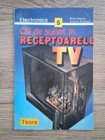 Mihai Basoiu, Cristina Costescu - Cai de sunet in receptoarele TV