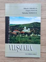Mihail Chiorean - Viisoara. Studiu monografic