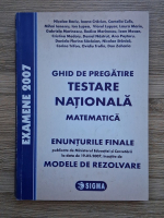 Nicolae Baciu, Ioana Craciun - Ghid de pregatire Testare nationala. Matematica. Enunturile finale, modele de rezolvare (2007)