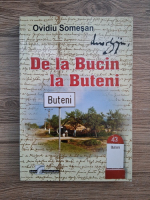 Ovidiu Somesan - De la Bucin la Buteni