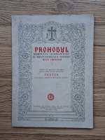 Prohodul Domnului, Dumnezeului si Mintuitorului Nostru Iisus Hristos (1978)