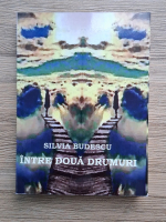 Silvia Budescu - Intre doua drumuri