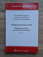 Viorel Mihai Ciobanu - Drept procesual civil. Indreptar pentru seminare si examene (editia a II-a)