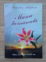 Alexandru Mihailescu - Marea hoinareala