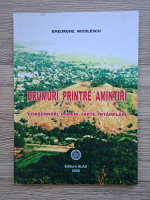 Gheorghe Nicolescu - Drumuri printre amintiri. Consemnari, oameni, fapte, intamplari