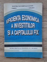I. Romanu - Eficienta economica a investitiilor si a capitalului fix