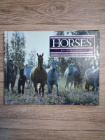 Kit Houghton - Horses