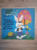 Magdalena Iancu, Stela Cretu - Printre picaturi de ploaie si raze de soare